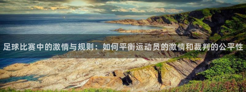 足球比赛中的激情与规则：如何平衡运动