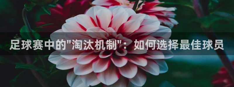 足球赛中的\