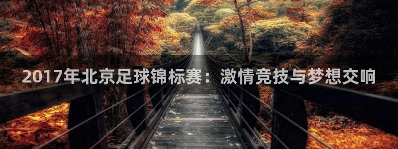  2017年北京足球锦标赛：激情竞技与梦想交响