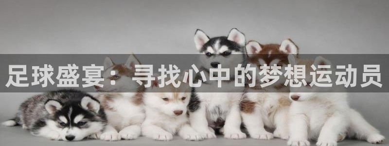 足球盛宴：寻找心中的梦想运动员