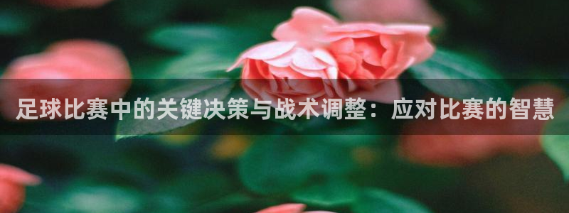 足球比赛中的关键决策与战术调整：应对比赛的智慧