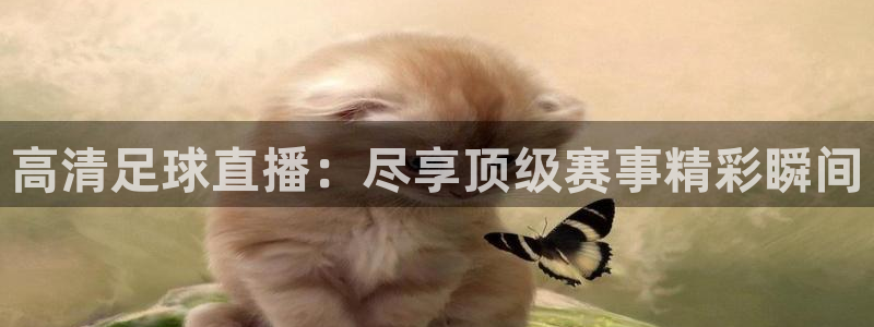  高清足球直播：尽享顶级赛事精彩瞬间