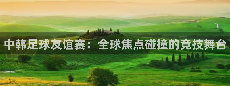 中韩足球友谊赛：全球焦点碰撞的竞技舞台