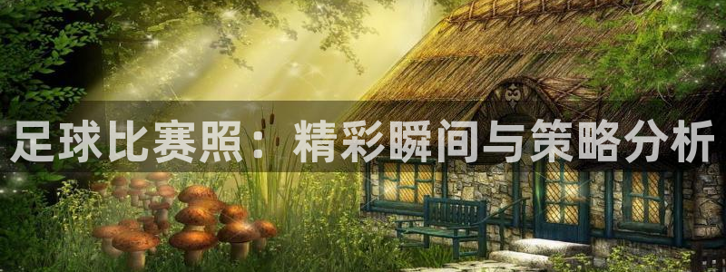 足球比赛照：精彩瞬间与策略分析