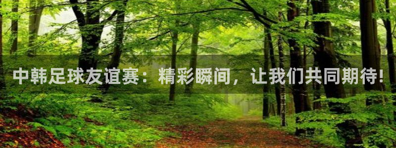  中韩足球友谊赛：精彩瞬间，让我们共同期待!