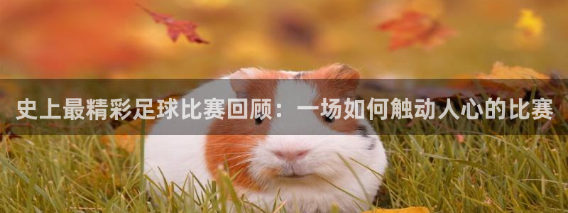  史上最精彩足球比赛回顾：一场如何触动人心的比赛