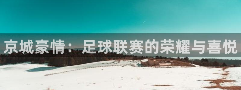  京城豪情：足球联赛的荣耀与喜悦