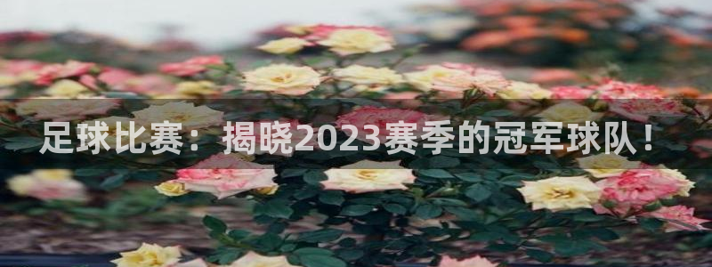 足球比赛：揭晓2023赛季的冠军球队！