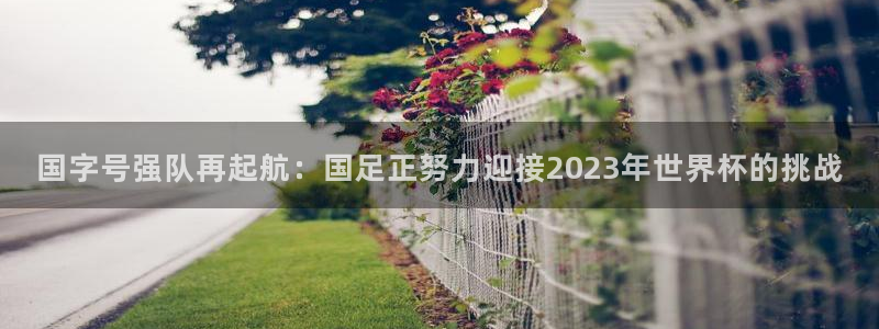  国字号强队再起航：国足正努力迎接2023年世界杯的挑战