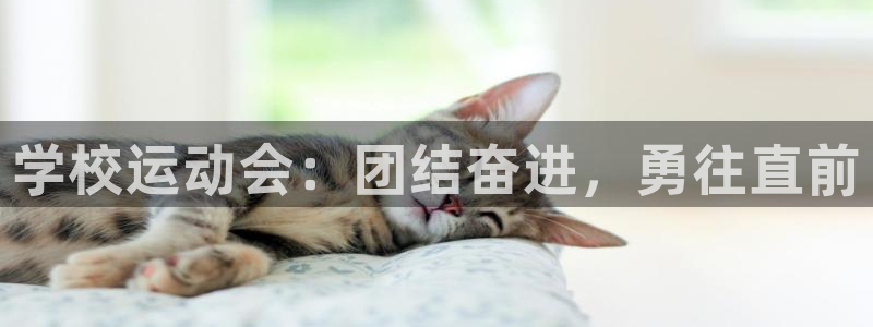 678体育