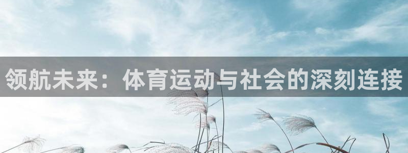 678体育官网地址