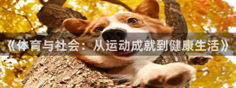 678体育知识：《体育与社会：从运动成就到健康生活》