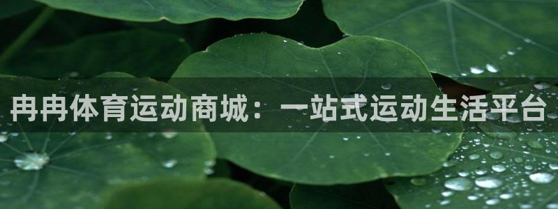 678体育