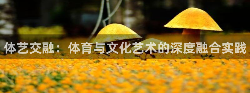678体育app