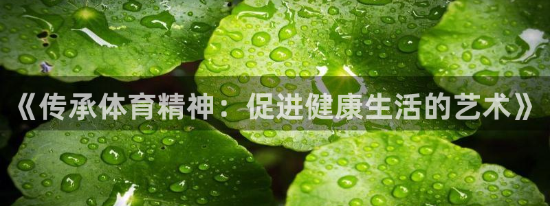 678体育官网下载：《传承体育精神：促进健康生活的艺术》