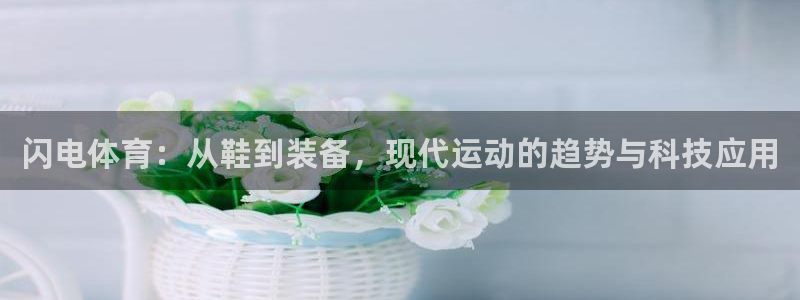 678体育app