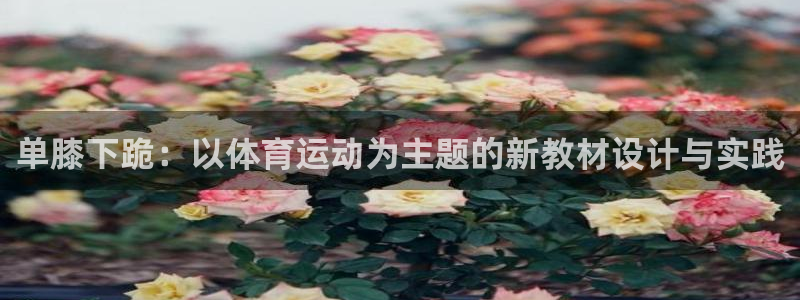 678体育官网地址