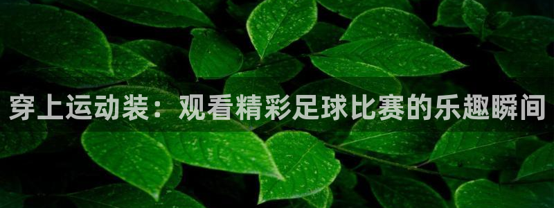 穿上运动装：观看精彩足球比赛的乐趣瞬