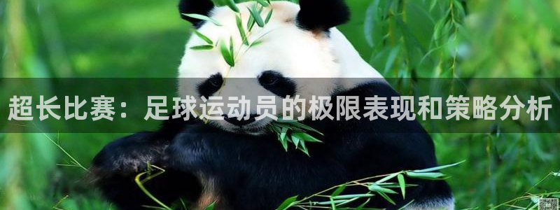 超长比赛：足球运动员的极限表现和策略
