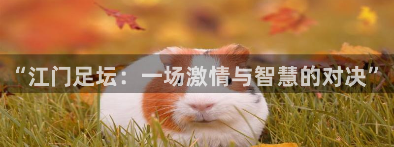 “江门足坛：一场激情与智慧的对决”