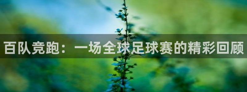 百队竞跑：一场全球足球赛的精彩回顾