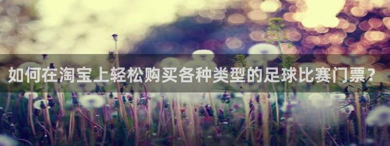 如何在淘宝上轻松购买各种类型的足球比