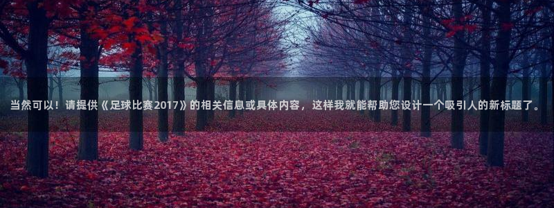 当然可以！请提供《足球比赛2017》