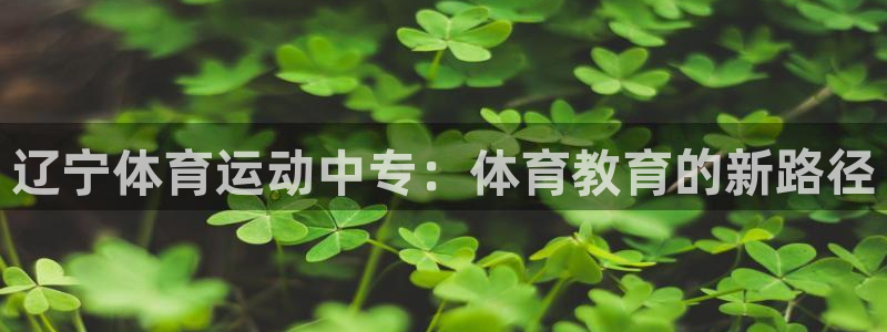 678体育官网