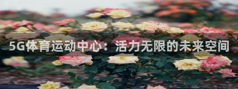 678体育app