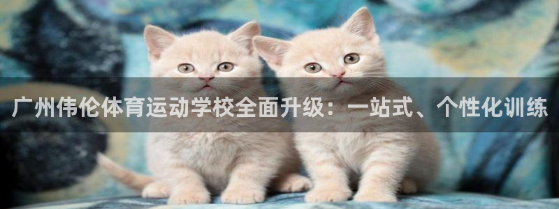 678体育